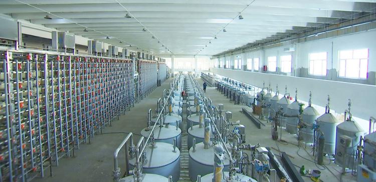 2023德州绿色低碳高质量发展“期终考”丨武城县、夏津县、齐河县、禹城市知识产权服务亮点回顾