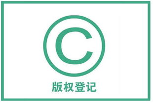 软件著作权侵权的证据材料清单与知识产权服务指引