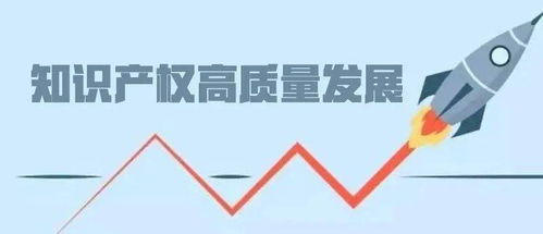 交出知识产权高质量发展湖南答卷 打造创新高地，赋能产业未来